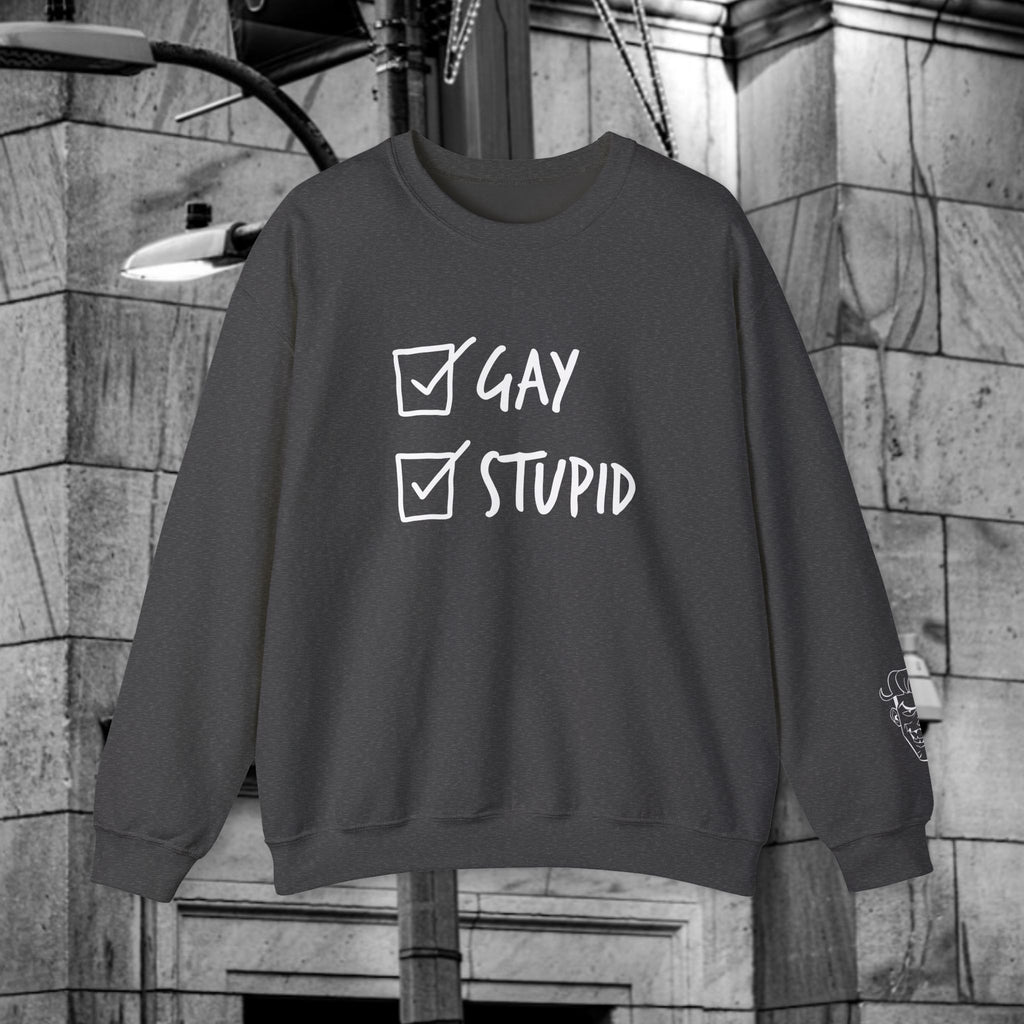 Gay and Stupid Sweatshirt