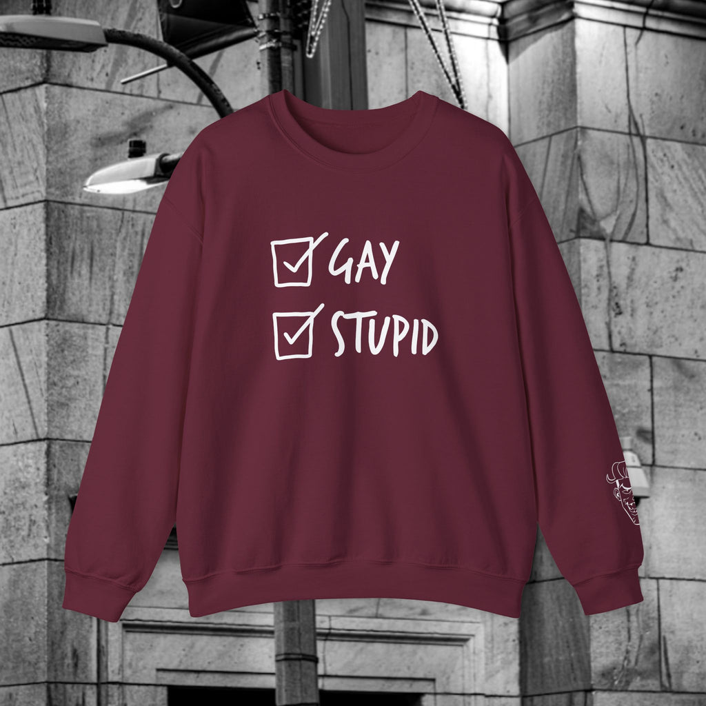 Gay and Stupid Sweatshirt