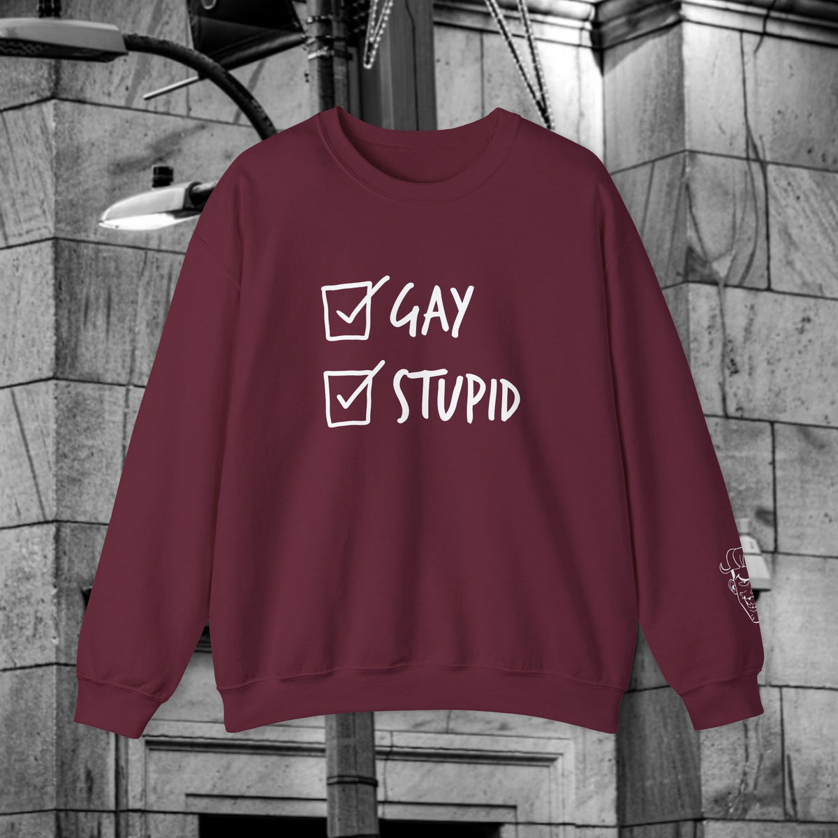 Gay and Stupid Sweatshirt