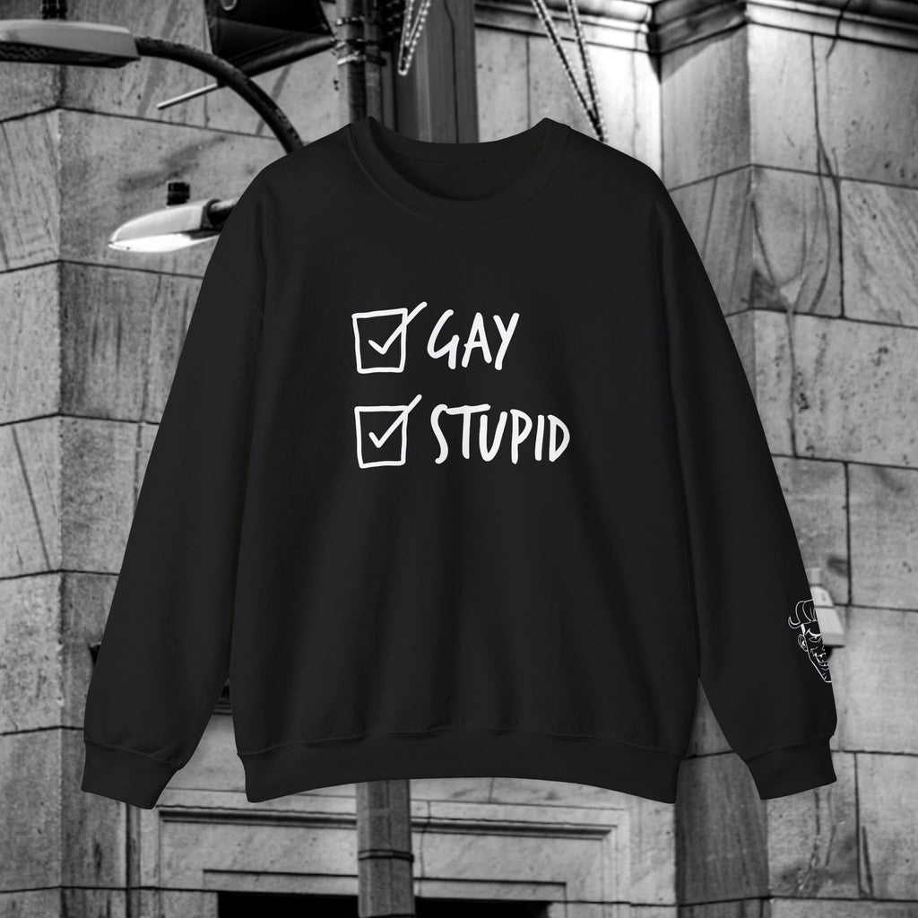 Gay and Stupid Sweatshirt