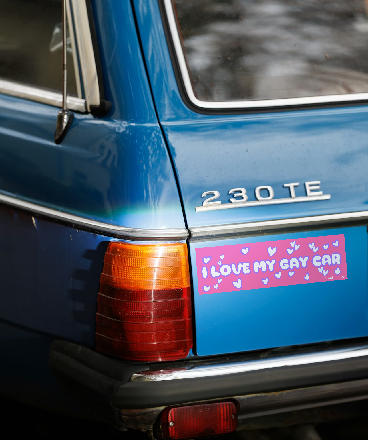 Gay Car Bumper Sticker (Pink) - DEAD-END CLUB